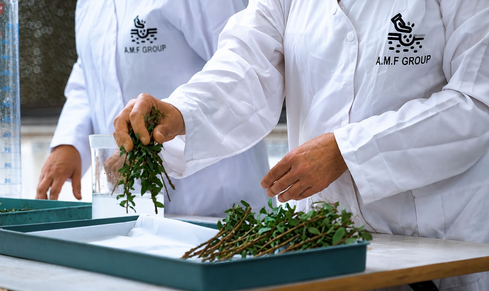 Laboratoire de culture in vitro