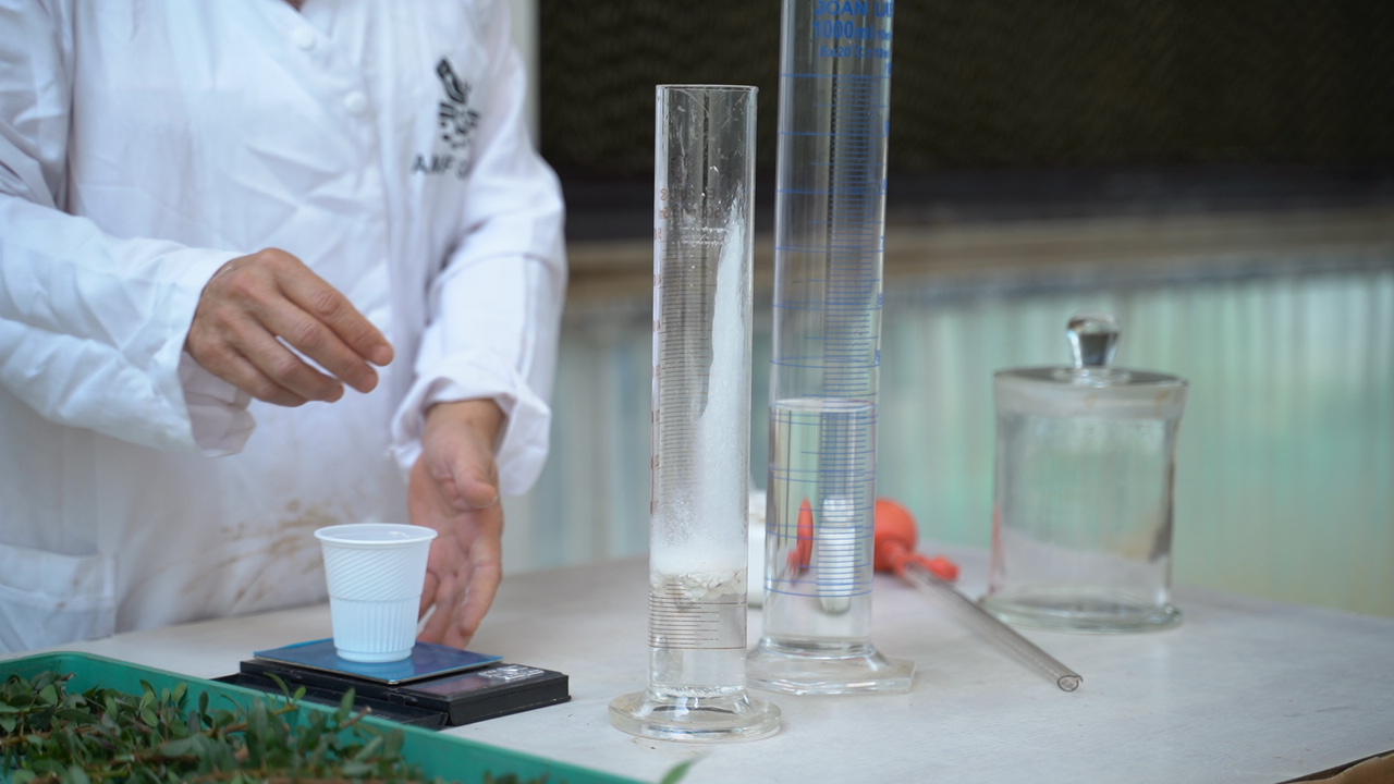 Laboratoire de culture in vitro